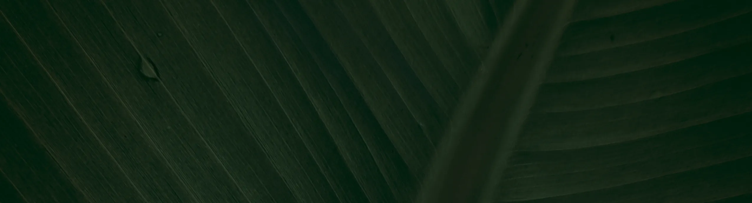 Guia para reducir tu huella energética